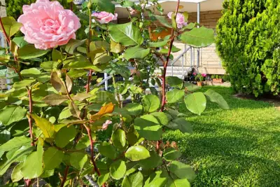 House for sale, Via Montello, Brescia