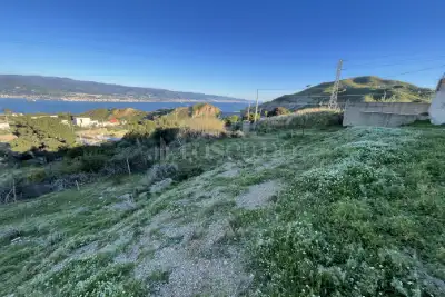Agricolo in vendita, Contrada Aranciarella, Messina