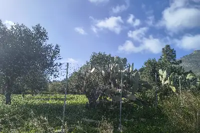 Agricolo in vendita, Via Martognella, Valderice
