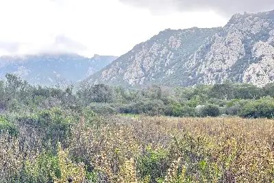 Agricolo in vendita, Loc. Caldosu, Sant'Antonio di Gallura