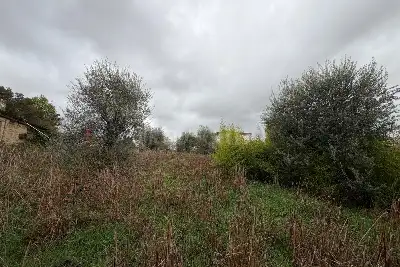 Casa Indipendente in vendita, Via Casorzo, Roma