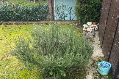 Villa in vendita, Via Pio XII, Avezzano