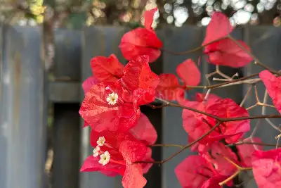 Villa in vendita, Via Ticino, San Gregorio di Catania