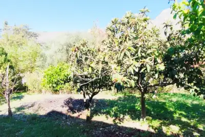 Villa in vendita, Viale dei Mulini, San Giuseppe Jato