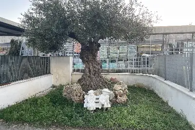 Capannone in vendita, Via dei Castelli Romani, Pomezia