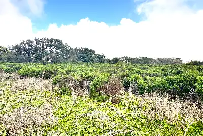 Agricolo in vendita, Loc. Caldosu, Sant'Antonio di Gallura