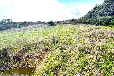 Agricolo in vendita, Loc. Caldosu, Sant'Antonio di Gallura