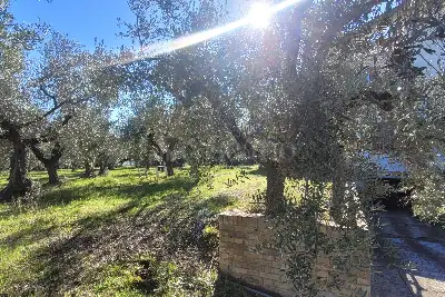 Villa in vendita, Via Pratelle Castellana, Pianella, Pianella