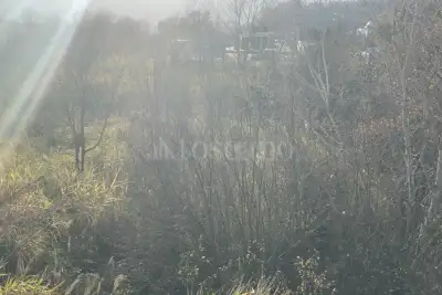 Edificabile Industriale in vendita, Orte Loc. Caldare, Orte