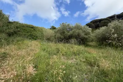 Agricolo in vendita, Via San Cosimo, Messina