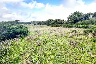 Agricolo in vendita, Loc. Caldosu, Sant'Antonio di Gallura