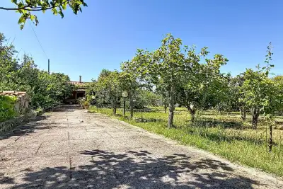 Casa Indipendente in vendita, Strada Vicinale Li Buttangari, Sorso