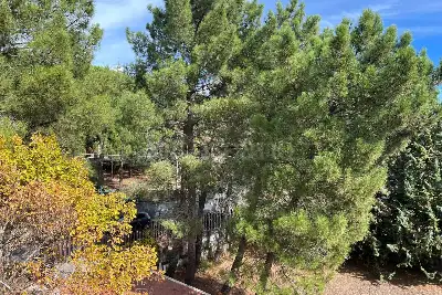 Villa in vendita, Via Regina Bianca di Navarra, Nicolosi