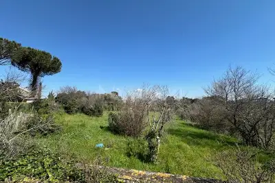 Agricolo in vendita, Via Groenlandia, Pomezia