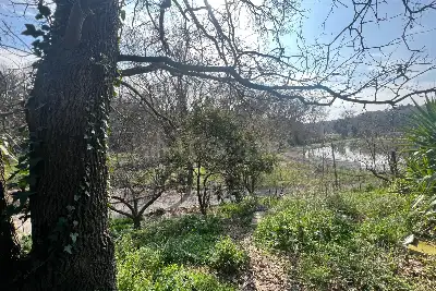 Agricolo in vendita, Via Vinadio, Roma