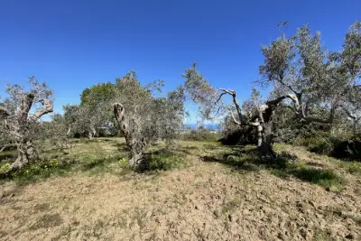 Rustico in vendita, Strada Provinciale 50, Messina