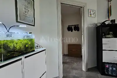 Casa in vendita, Via Mario Mastrangelo, Roma