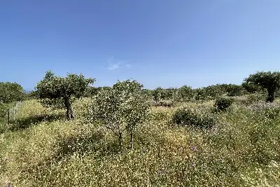 Agricolo in vendita, Piano Torre Spartà, Messina