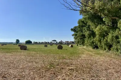 Agricolo in vendita, Viale delle Pagliete, Fiumicino