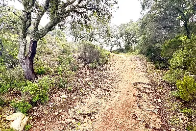 Agricolo in vendita, Loc. Caldosu, Sant'Antonio di Gallura