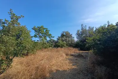 Edificabile Commerciale in vendita, Via Catania, Trecastagni