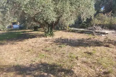 Agricolo in vendita, Vicolo della Patatona , Ciampino