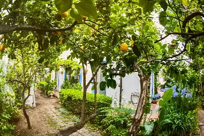 Villa Plurifamiliare in vendita, Via Domenico de Santis, Cerveteri