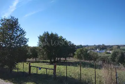 Agricolo in vendita, Via del casale d'Antoni, Roma