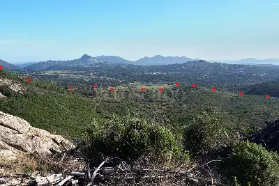 Agricolo in vendita, Berchidda, SP 138, Berchidda