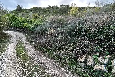 Agricolo in vendita, Via Cristoforo Colombo, Florinas