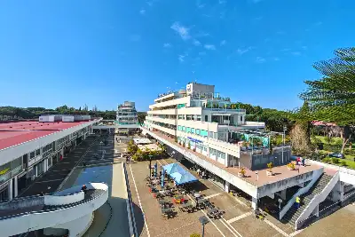 Attico in vendita, Piazzale Filippo Il Macedone, Roma