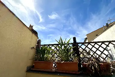 Attico in vendita, Via Alloro, Palermo