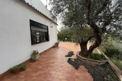 Casa Indipendente in vendita, Contrada Musarra, Messina