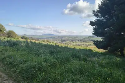 Agricolo in vendita, Contrada Martognella, Valderice