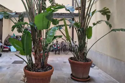 Casa in vendita, Via Garibaldi, Trapani