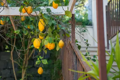Villa in vendita, Via Catania, Tremestieri Etneo