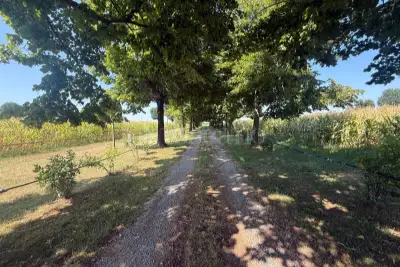 Casa Indipendente in vendita, Via San Michele, Castelfranco Emilia