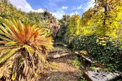 Casa Indipendente in vendita, Via Roma, Zafferana Etnea