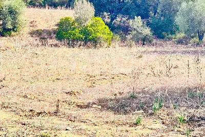 Agricolo in vendita, Trudda , Loiri Porto San Paolo