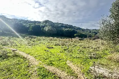 Agricolo in vendita, SANT'ANTONIO DI GALLURA , Sant'Antonio di Gallura