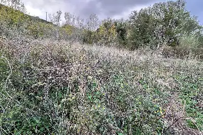 Agricolo in vendita, Via Cristoforo Colombo, Florinas