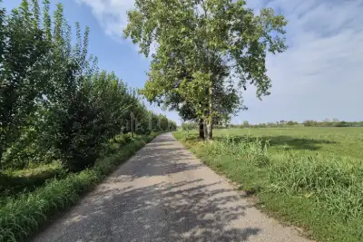 Agricolo in vendita, Via Pradossi, Borgosatollo