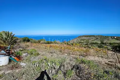 Agricolo in vendita, Località Li Paddimi, Castelsardo