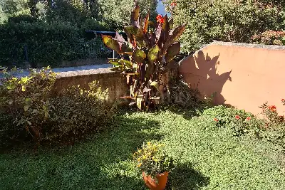 Casa in vendita, Arenzano via della Pineta 45 , Arenzano