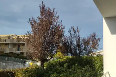Casa in affitto, Via Arlini, Pineto