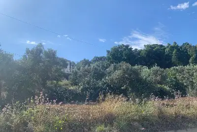 Edificabile Residenziali in vendita, Stalettì Località Sarusi, Stalettì