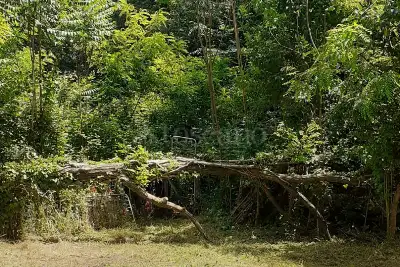 Casa in vendita, Via Antonino Parato, Roma