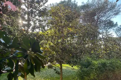 Casa in vendita, Via Gastone Giacomini, Roma