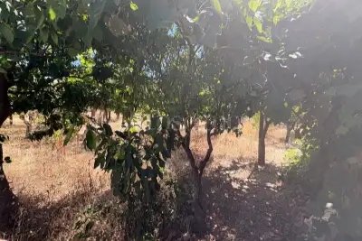Casa Indipendente in vendita, Vico Perrone, Reggio di Calabria