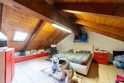 Villino a Schiera in vendita, Vicolo Frisanco, Maniago